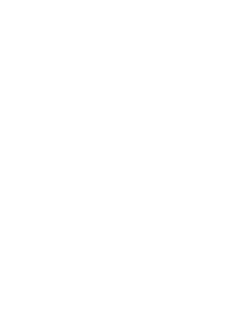 Asset 1028